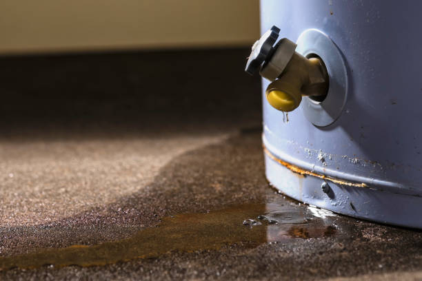 Best Basement water damage restoration  in Mineola, NY