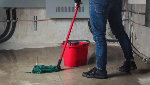 Best 24-hour water damage restoration  in Mineola, NY