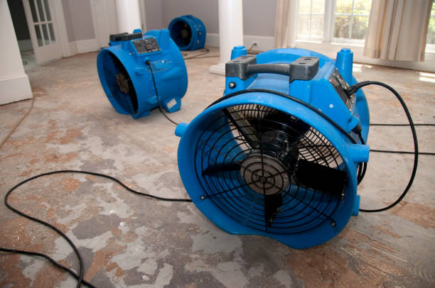 Best Water damage restoration near me  in Mineola, NY